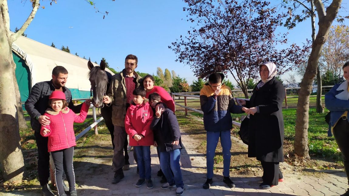 Okulumuz öğrencilerinin İstanbul Üniversitesi Veterinerlik Fakültesi At Çiftliği Ziyaret